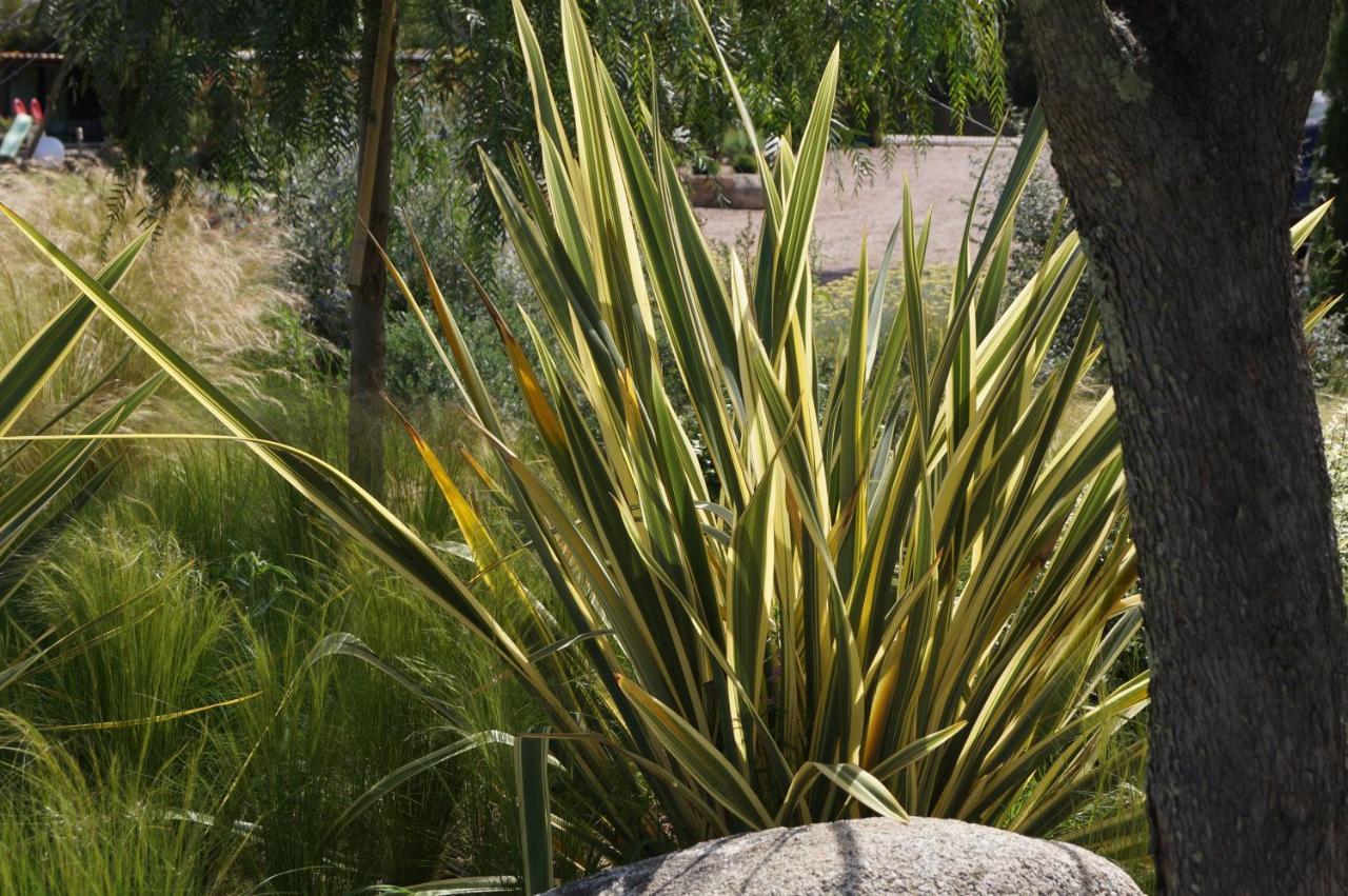Les Jardins De Santa Giulia - Charmante Chambre D'Hote Porto Vecchio Exterior foto